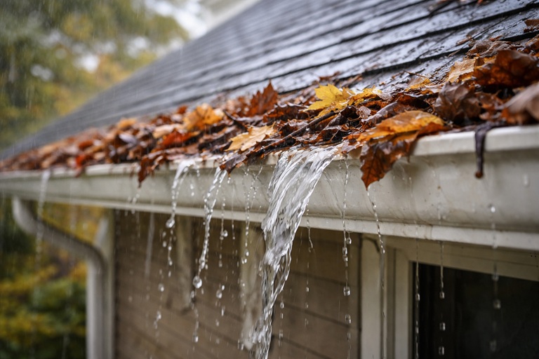 entretien gouttières automne débordement feuilles